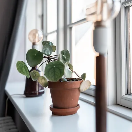 Cafe Sallys Séjour chez l'habitant *